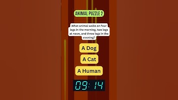 Can You Solve This Mind-Bending Riddle? #brainteaser #quickchallenge #riddle