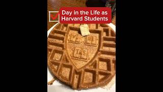 Day In The Life At Harvard