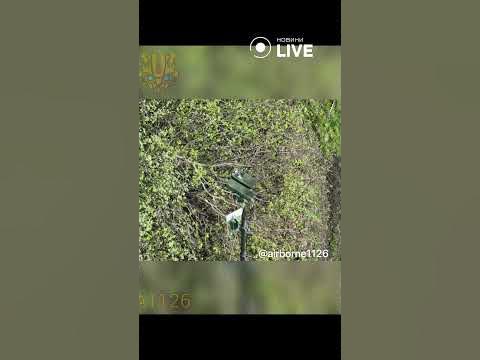 💥💥💥Знищили комплекс спостереження Муром-М - YouTube