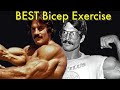 Best exercise to build big biceps mikementzer bodybuilding gym motivation