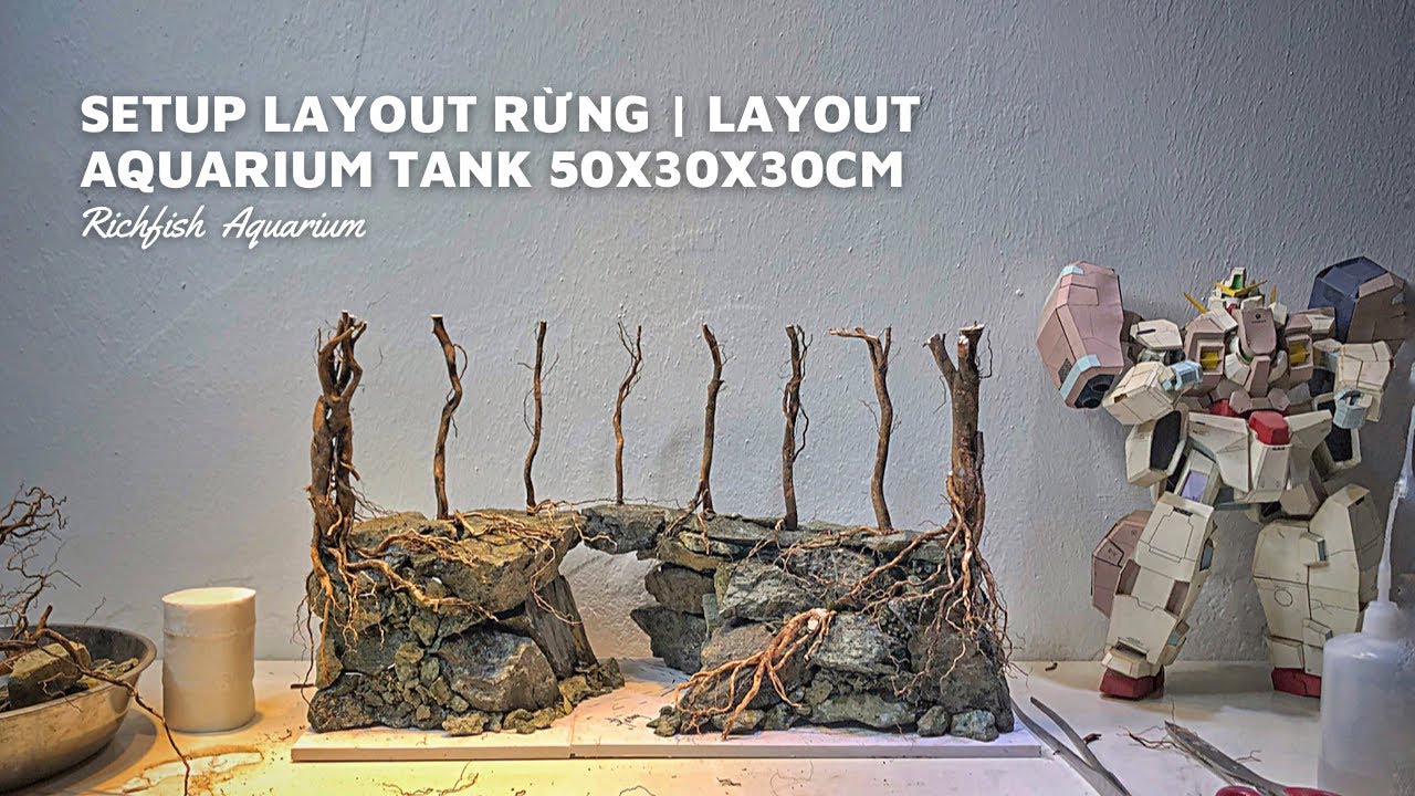 Setup Layout Rừng đơn giản từ đá Nham Xanh và Rễ Rừng | Aquarium Tank ...