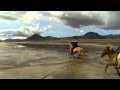 Riding Icelandic horses with a handheld GoPro Hero3