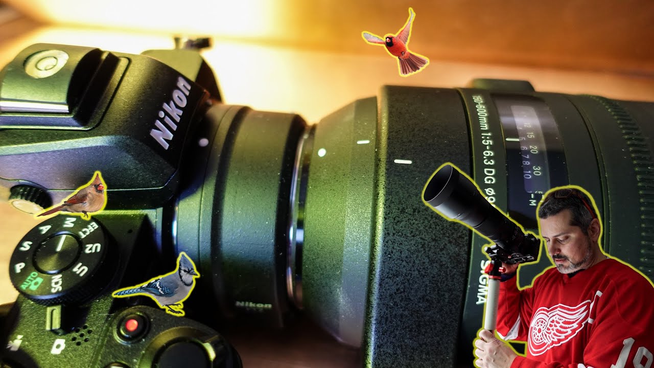 Nikon Z50 + FTZ + Sigma 150-600 f5-6.3 C. Lets try some songbirds