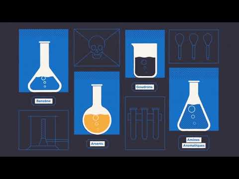 Vidéo: Polymorphisme Dans LncRNA AC016683.6 Et Son Interaction Avec L'exposition Au Tabagisme Sur La Sensibilité Du Cancer Du Poumon