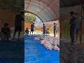 Hari raya Idul Adha #viralvideo