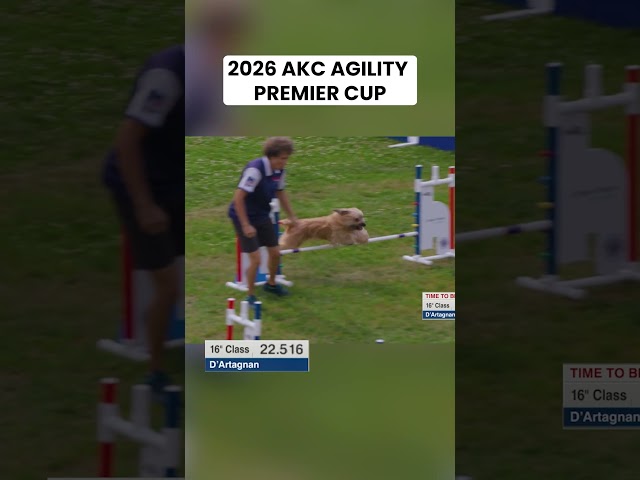 They Left It All on the Course 🐾 | 2026 AKC Agility Premier Cup