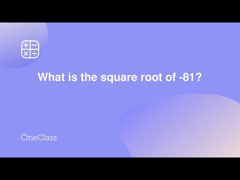       81