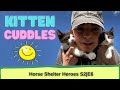 Horse Shelter Heroes | S2E6 | Full Episode