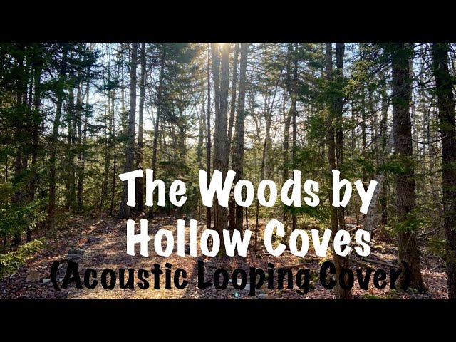 The Woods (Acoustic) - Hollow Coves