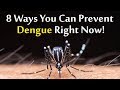 Dengue: 8 Ways You Can Prevent | Dengue Prevention Guide | Boldsky