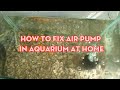 How to fix air pump in aquarium at home|Air pump common problem|