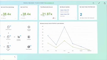 Dashboard analytics with SAP Business One | Softengine