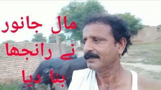 مال جانور نے رانجھا بنا دیا , Animals nay Ranjha Bana  diya , Shah Bhai Lalsohanra BWP