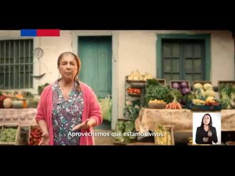 Ley Ricarte Soto: Escuchamos tu voz y la hicimos ley