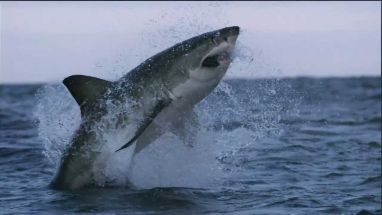 Amazing Videos Of Natural Disasters Amazing Videos Of Natural Disasters