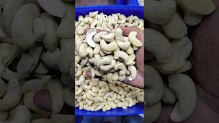 wholesaler Business Cashew nuts #viralshort #trendingshorts #share #kharibavali #delhi #chandnichowk