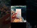 🪞🗝️📜#subscribe