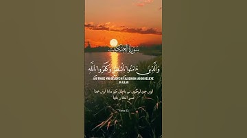 سورۃ العنکبوت Surah Al ankabut 52 #islamicinsight #tilawati354 #viralvideo #تلاوة#تلاوة_خاشعة#تلاوات