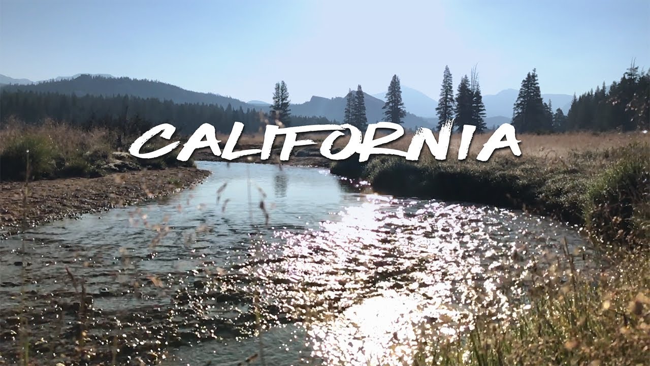 California! ~ Summer 2018