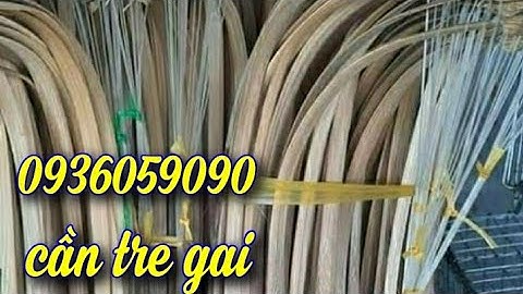 Bán cần câu cắm cá lóc, bán cần câu cắm bằng tre gai, cần câu cắm tre gai giá rẻ zalo 0936059090