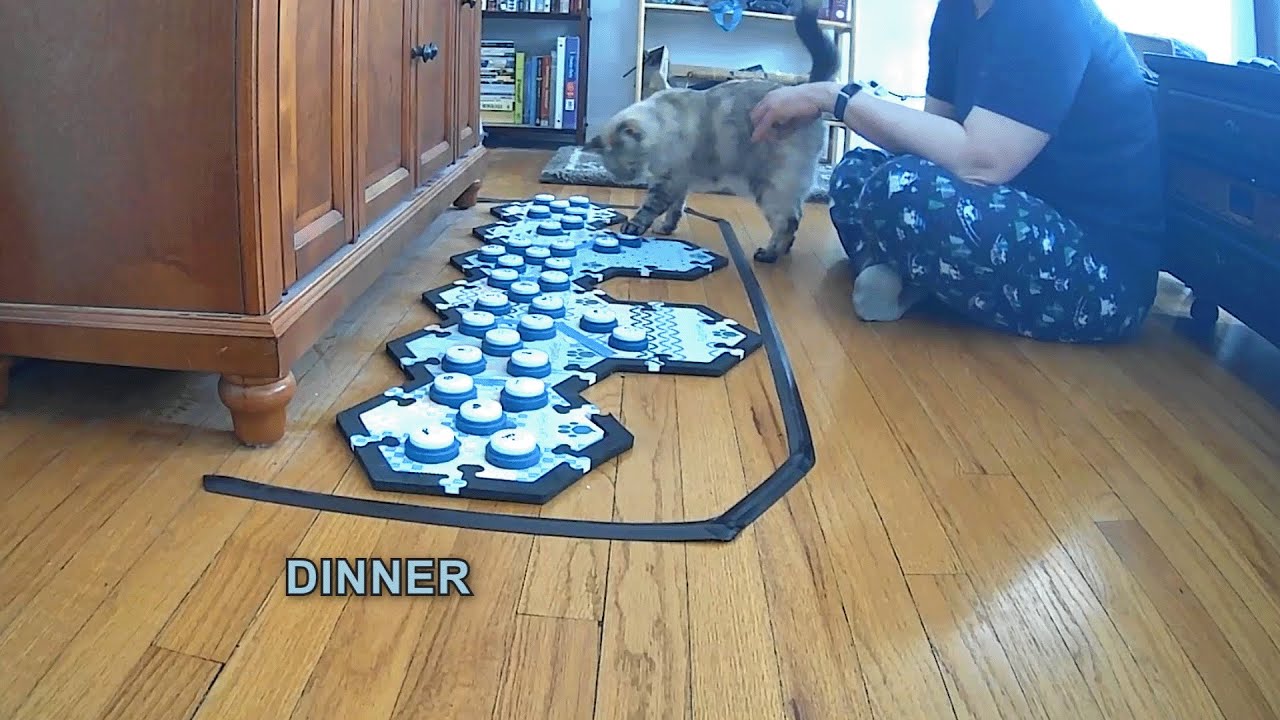 ouch-kibble-youtube