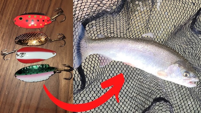 Fishing for Stocked Rainbow Trout with Spinners 