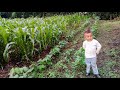 Niño Trabajando En El Campo