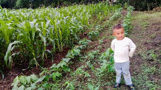 Niño Trabajando En El Campo