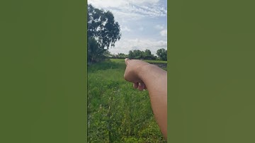 Đất lúa mặt tiền đường xe tải được chuyển thổ cư 750m2 giá 950 triệu xã tân ân cần đước Long An