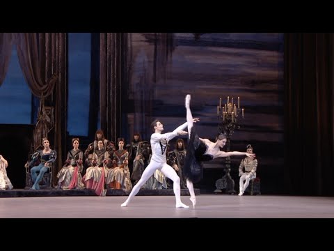 【中古】 バレエ＆ダンス / Swan Lake Tchaikovsky : Bessmertnova Beogatyrio Bolshoi Ballet Tchaikovsky: Swan Lake, Bolshoi Ballet (Moscow 1989) - YouTube