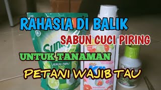 A COMPLETE DISCOVERY OF THE BENEFITS OF DISHWASHING SOAP FOR PLANTS