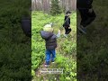 Грибы в июне