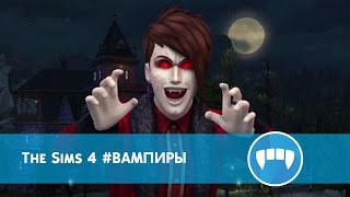 снкоеты вамп ров в сиис 4 вариант для покупки