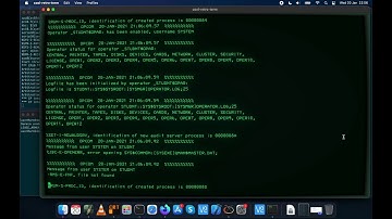 OpenVMS 8.4-2L2 on M1 Apple es40