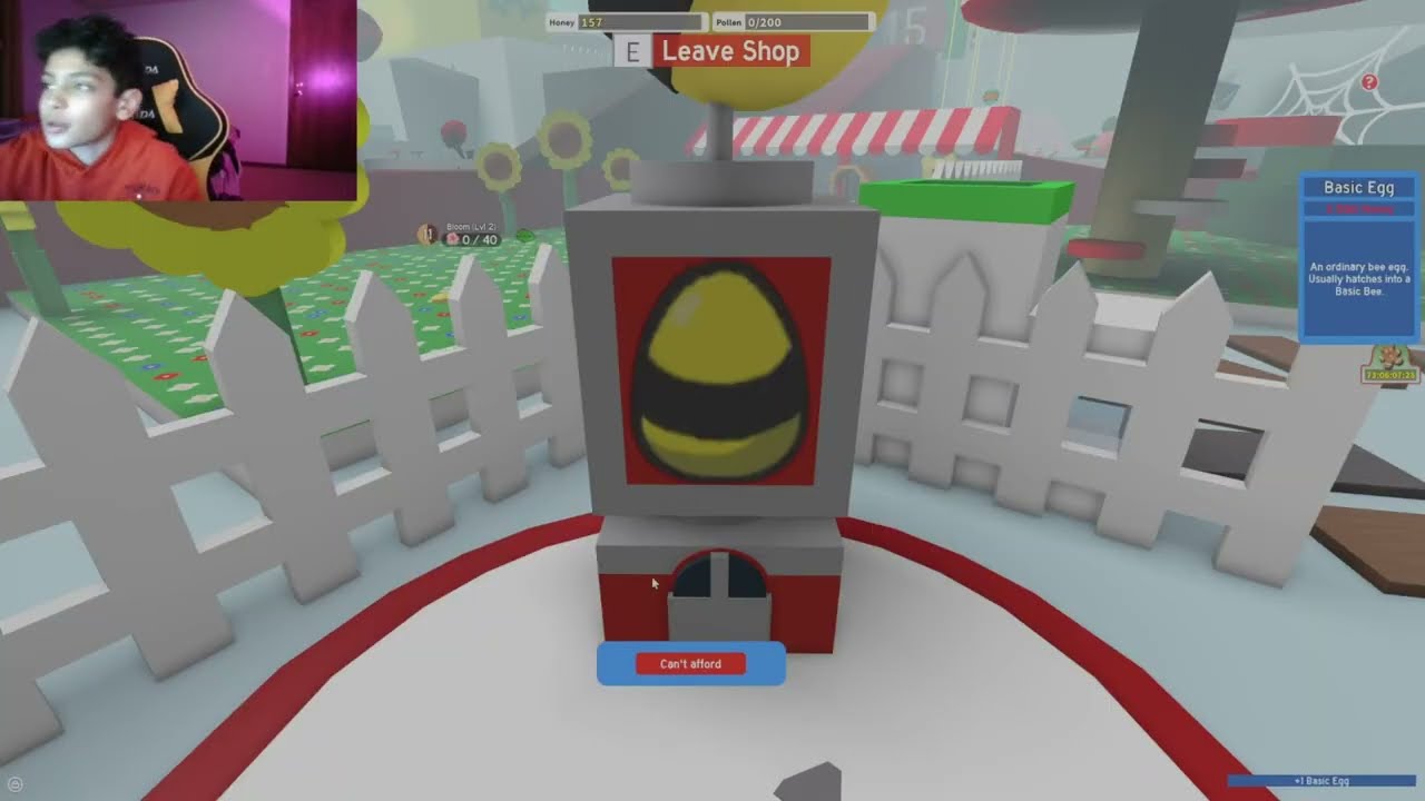 Bee swarm sim Noob to pro