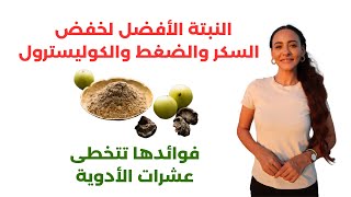 الأملا / نبتة الخلود وعلاج الأمراض المستعصية / مضادات الأكسدة الطبيعية