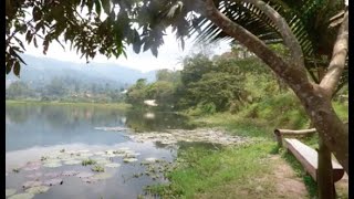 VIAJANDO SIN TOURS - PERÚ - Selva Central en auto