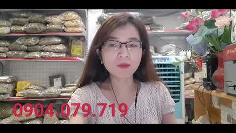 Cây trinh nữ hoàng cung điều trị u xơ tử cung, u nang buồng trứng, u vú, u xơ tiền liệt tuyến ...