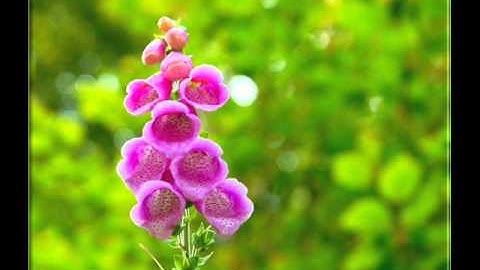 No one can fail who seeks to reach the truth. -- ACIM L. 131