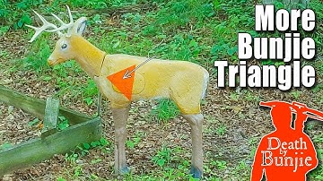 Where to Aim on a Deer With Your CROSSBOW Part II