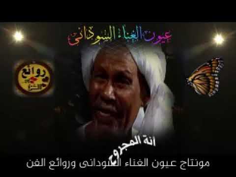 خضر بشير انة المجروح