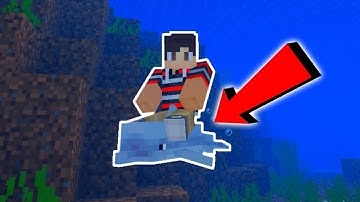 RIDEABLE DOLPHIN IN MINECRAFT!!