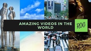 Amazing Videos In The World