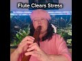 Cleans Out Your Stress With FLUTE