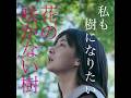 【文乃（北川景子）編】映画『未来』キャラクター動画【2026年5月8日（金）公開】