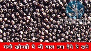 गंजी खोपड़ी में भी बालो की पूरी खेती उगा देंगे ये दाने//