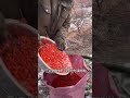 #新鲜采摘 #farming #沙棘 #harvest