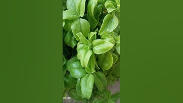 قران كريم راحه نفسيه اكتب شي تؤجر عليه #اكسبلور