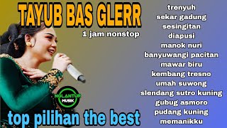 Lagu Tayub Bas Gler Top Pilihan The Best 1 Jam Nonstop  Nglantur Musik 