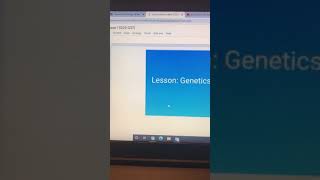 Genetics Assignment Instructions